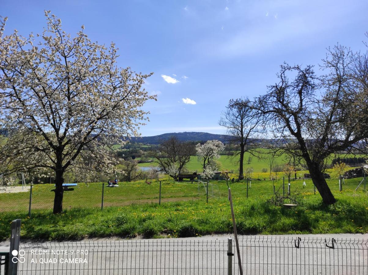 Apartman Sumava U Rybaku Volenice  外观 照片